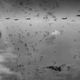 Image for article titled Why A German Pilot Escorted An American Bomber To Safety During World War II